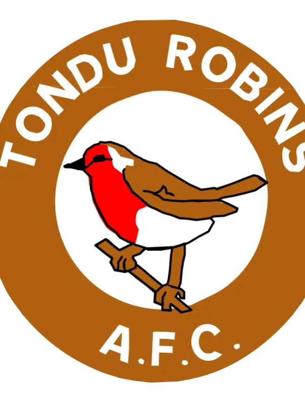 Tondu Robins FC