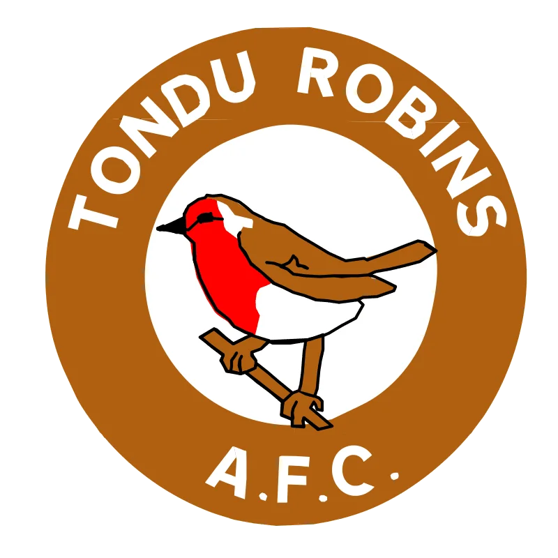 Tondu Robins FC