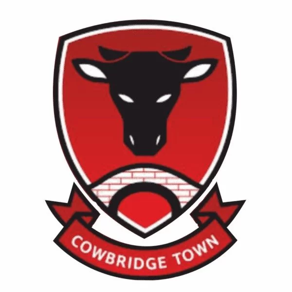 Cowbridge Town Fc