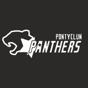 Pontyclun Panthers Netball